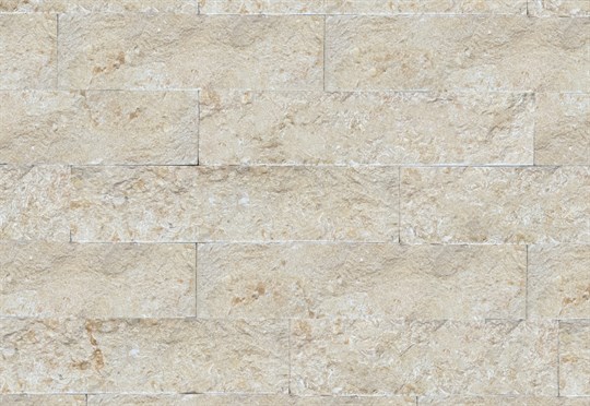 kamelia skapitsarista 7x30